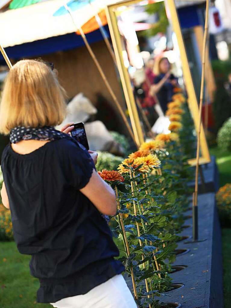 Impressionen vom ersten Tag der Chrysanthema