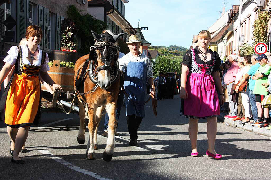 Beim Ihringer Herbstausklang wird traditionell die Einfuhr des letzten Erntewagens gefeiert.