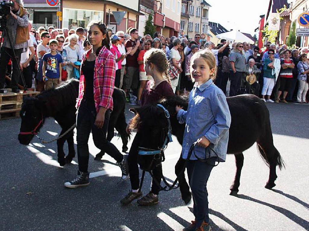 Impressionen vom Ihringer Herbstausklang