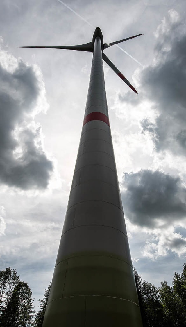 Wird es knftig am Blauen Windkraftanlagen geben?   | Foto: dpa