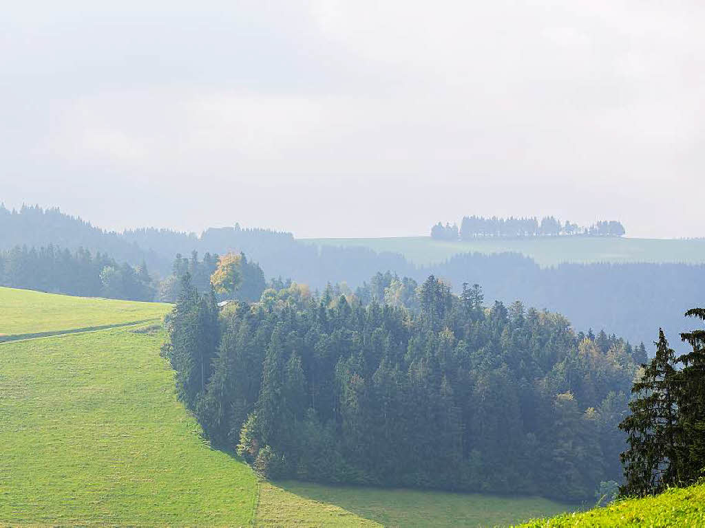 Atmosphre im Schwarzwald