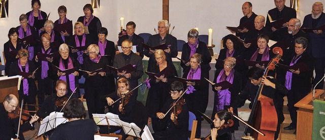 Von professionellen Instrumentalisten ...ksvolles Konzert in der Petruskirche.   | Foto: Georg Diehl