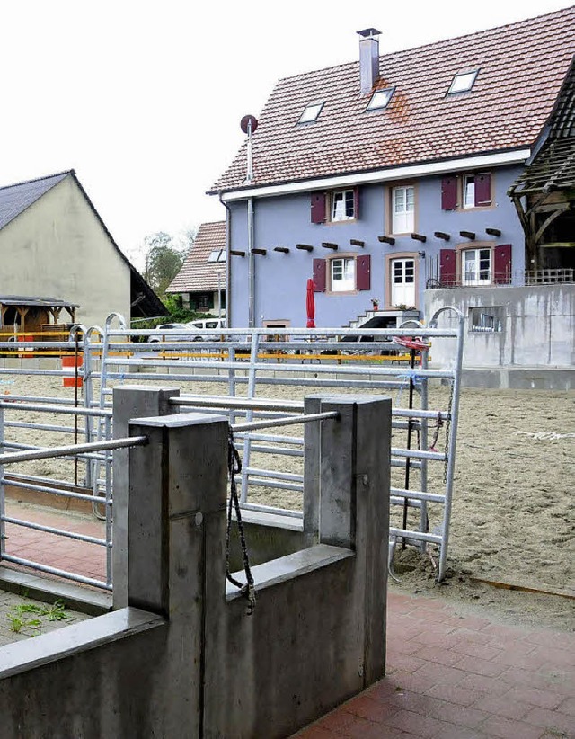 Die Wogen kochen  hoch beim neuen Pferdestall im Schlchtenhausener Hinterdorf.   | Foto: Bergmann