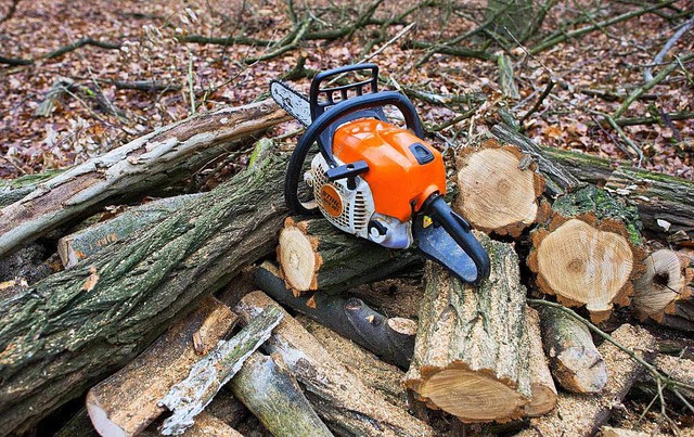 Die Stadt streicht Stelle im Waldarbei... mit der Waldservice-Ortenau zusammen.  | Foto: dpa