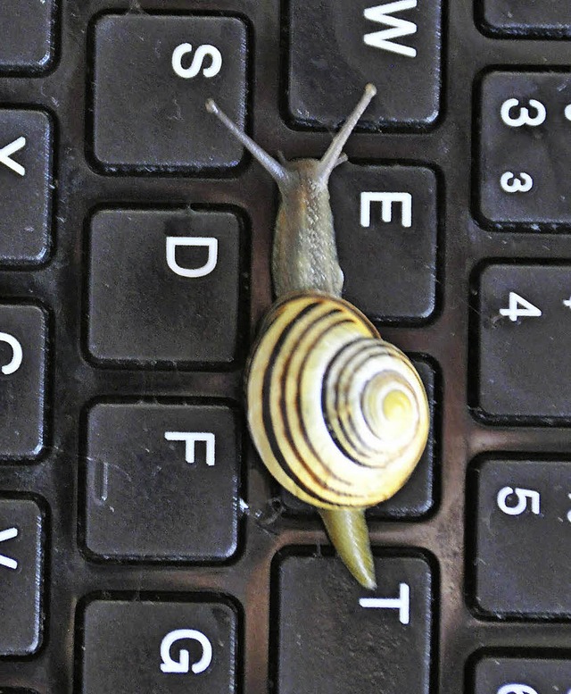 Schneller geht&#8217;s nicht? Auch Ebringen htte gerne schnelleres Internet.   | Foto: Julius Steckmeister