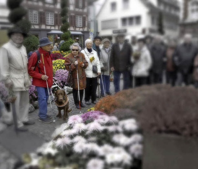 Blinde haben Freude an der Chrysanthem...h nur eingeschrnkt wahrnehmen knnen.  | Foto: CHRISTOPH BREITHAUPT