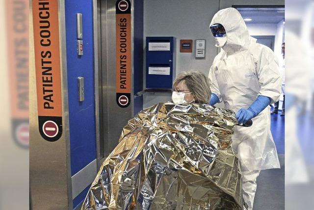 Ebola-Fälle in New York und Mali