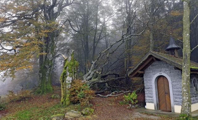 Sturmben knickten auf dem Niedergebis... auf dem 900 Meter hohen Gedenkplatz.   | Foto:  WOLFGANG ADAM