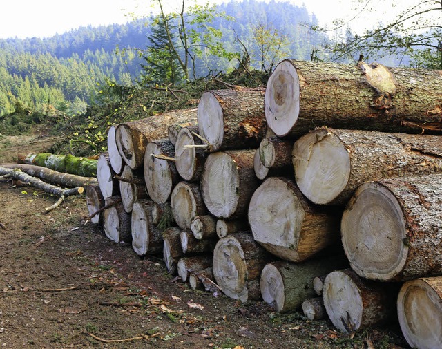 Nahezu abgeschlossen sind die Holzerntearbeiten entlang der L170.  | Foto: Wilfried Dieckmann