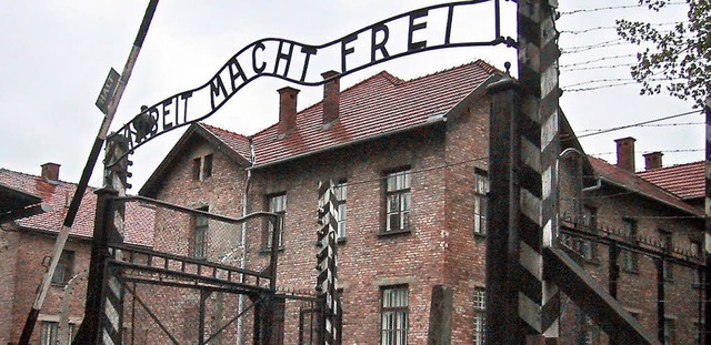 Die Breisacher Schler besuchten auch ...maligen Konzentrationslager Auschwitz.  | Foto: DPA