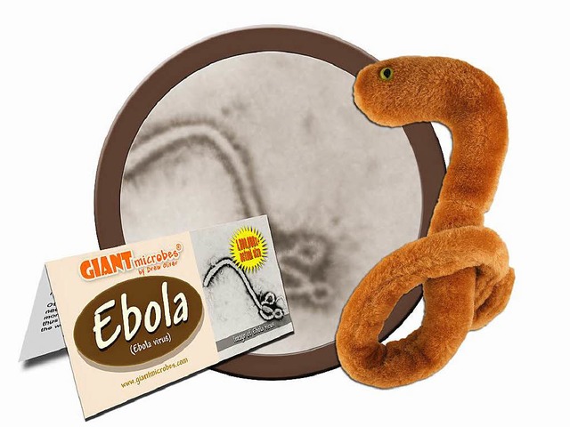 Umstritten: das Ebola-Virus als Plschtier  | Foto: dpa