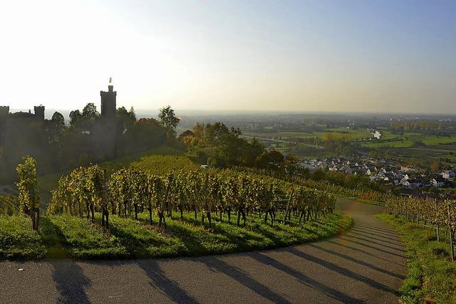 Das Schloss wird zum Klassenzimmer