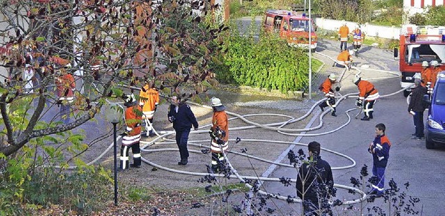 Am Samstag  ben die beiden Feuerwehre...irenenalarm. Das Bild stammt von 2012.  | Foto: Lenke