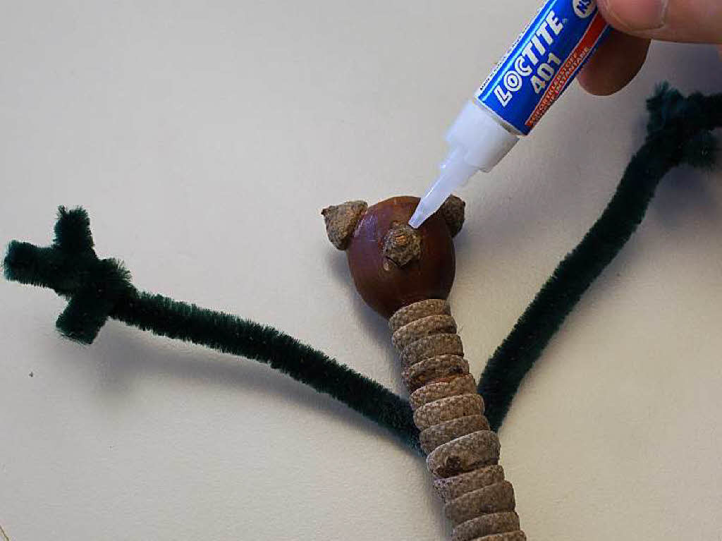 Das kleinste Eichelhtchen klebt ihr als Nase vorne in die Mitte des Kopfes.