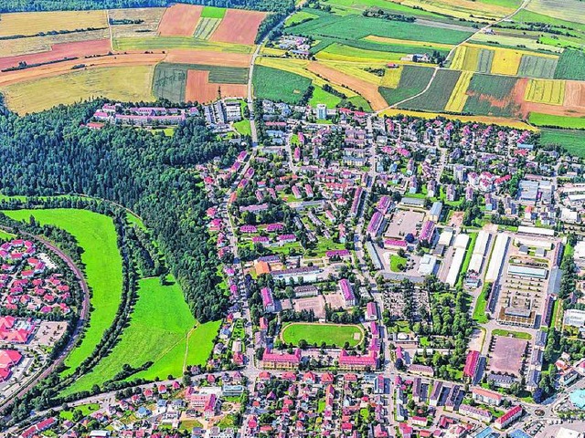 Wie wird das Donaueschinger Kasernenvi...n  anderen Stdten Anregungen geholt.   | Foto: www.MediaProd.de