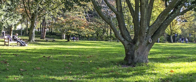 Herbststimmung im Bad Krozinger Kurpark  | Foto: Peter Stahl