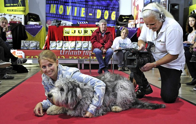 <Text>Achtung, Kamera: Show-Dog Asca, ...iner freiwilligen Darstellerin.</Text>  | Foto: Thomas Kunz