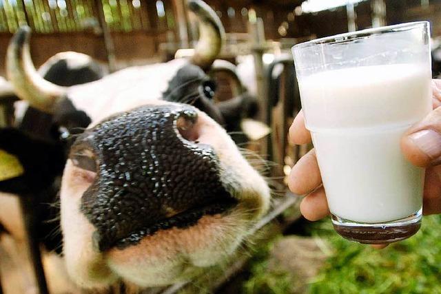 Aldi senkt den Milchpreis – Landwirte bereitet das Sorgen