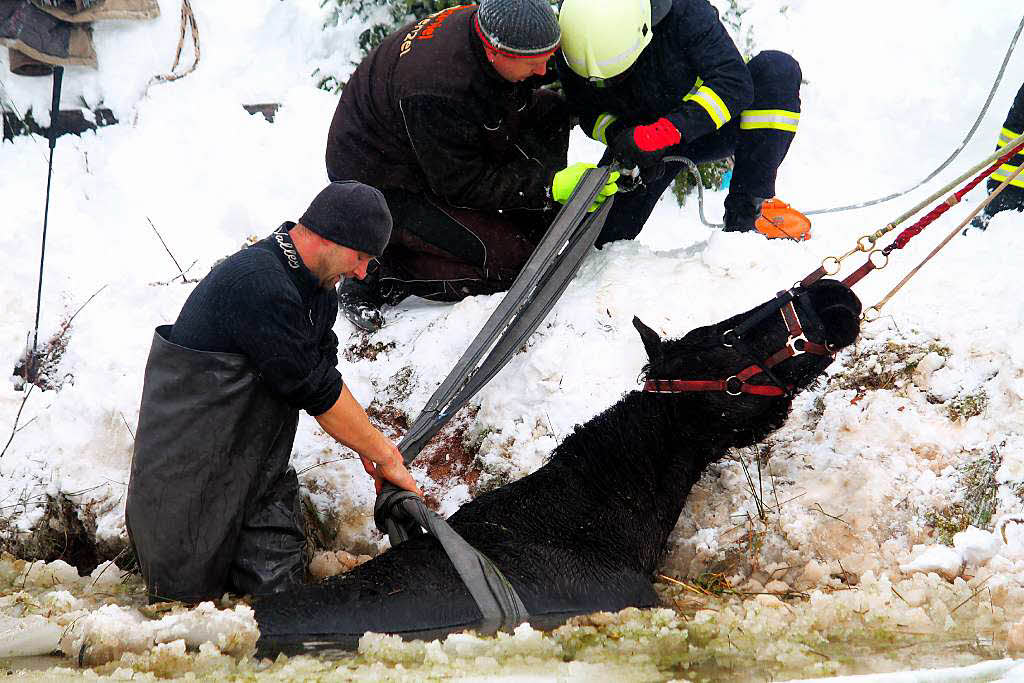 Feuerwehrleute retteten am Ende 2012  ein bei dichtem Schneetreiben in einem Teich inSuhl(Thringen) gefallenes Pferd vor demErtrinken.