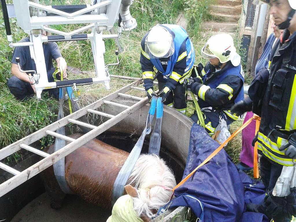 Bei Biederbach brach ein Pferd in einem Brunnenschacht ein. Feuerwehren aus  Elzach, Abteilung Elzach und die Freiwillige Feuerwehr Biederbach wurden fr die  Tierrettung alarmiert.