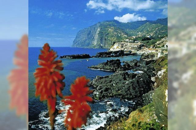 Madeira – kleine Insel ganz gro