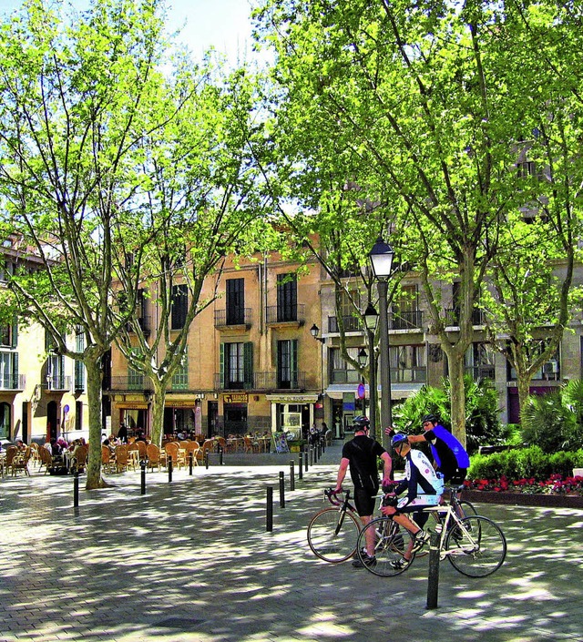 Eine etwas andere Art, Mallorca zu erleben: auf dem Rad  | Foto: Reiseveranstalter Dertour