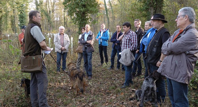 Gemeinderat und Verwaltung machten sic...r aktuellen Situation im Wyhler Wald.   | Foto: Jrgen Schweizer