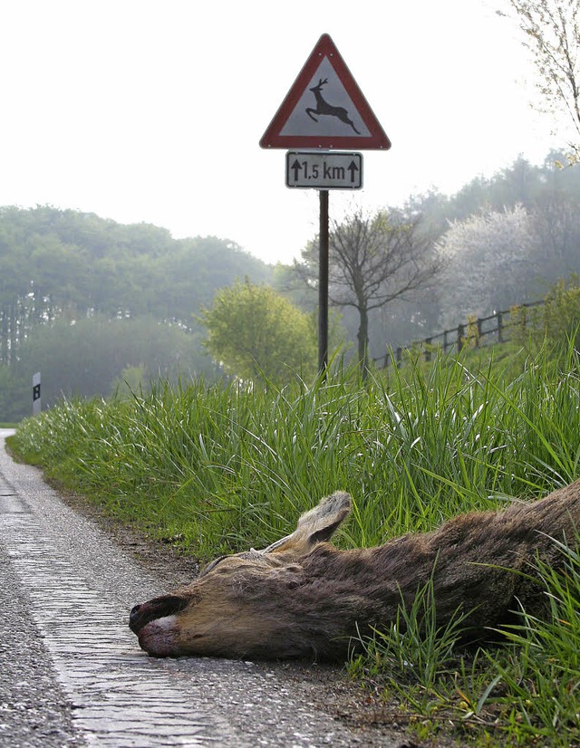 Vorsicht, Wildwechsel! Um Unflle zu v...rung besonders vorausschauend fahren.   | Foto: marcus brner/Landesjagdverband