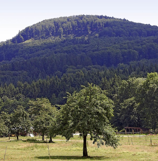 Potenzieller Windkraftstandort: der Munzenberg  | Foto: Herbert Frey