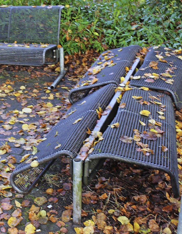 Die zerstrten Parkbnke vor der Villa Rupp  | Foto: Jasch-Ramsteck