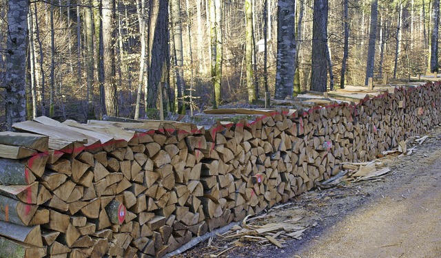 Der Wald ist Erholungs-, aber auch Wirtschaftsraum.   | Foto: Paul Schleer