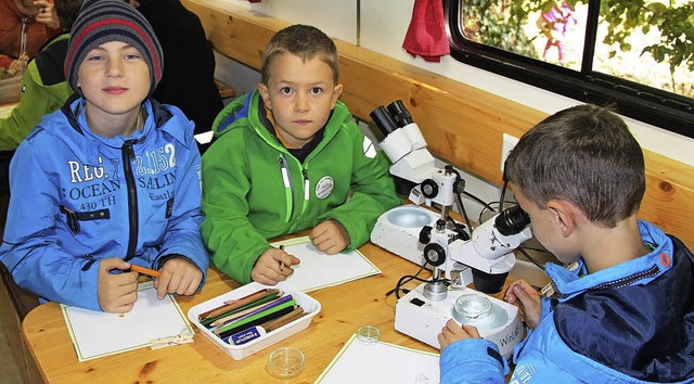 Die Kinder des Hugstetter Schlerhorts...r anderem an den Mikroskopen  schlau.   | Foto: horst david