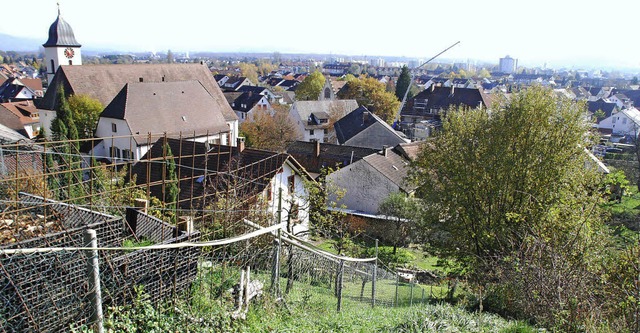 Ganz schn steil: So prsentiert sich ...uf den Grnflchen soll gebaut werden.  | Foto: Ralf Staub