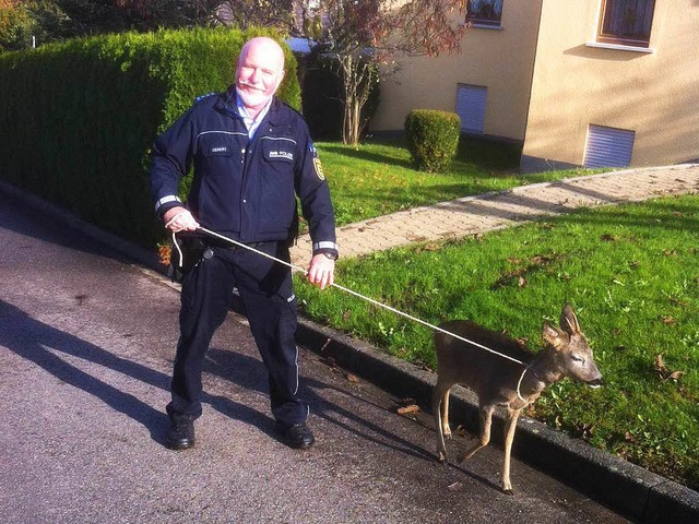 Der junge  Rehbock auf dem Weg in sein neues Zuhause.  | Foto: Polizei