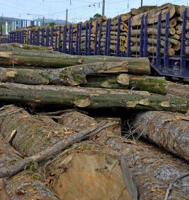 Holzverlade am Gterbahnhof Lrrach: W...eis schwerer auf die Bahn zu bringen.   | Foto: Nikolaus Trenz