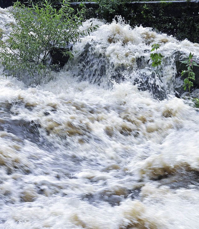 Kostenfaktor fr die nchsten Jahre:  der Hochwasserschutz.  | Foto: Kunz