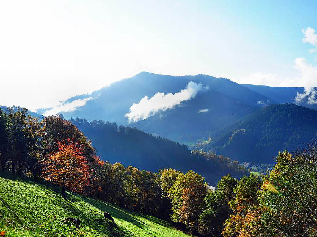 Unterwegs im Simonswäldertal. Unterwegs im Simonswäldertal.