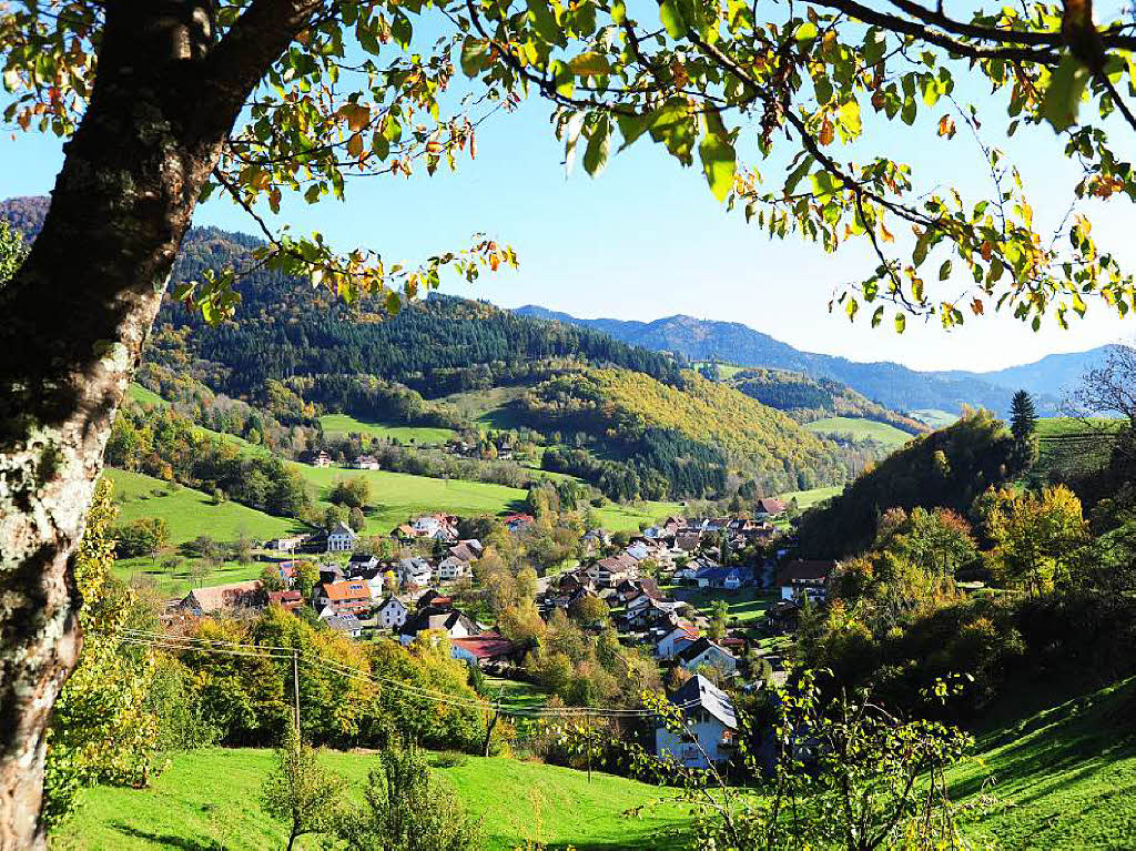 Unterwegs im Simonswäldertal. Unterwegs im Simonswäldertal.