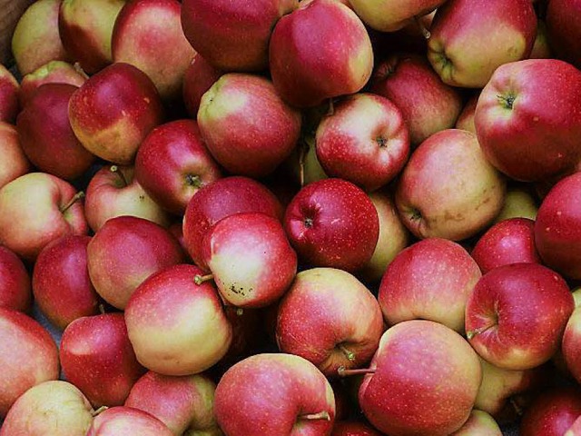 Von jedem Apfel werden mehrere Aufnahmen gemacht.  | Foto: dpa