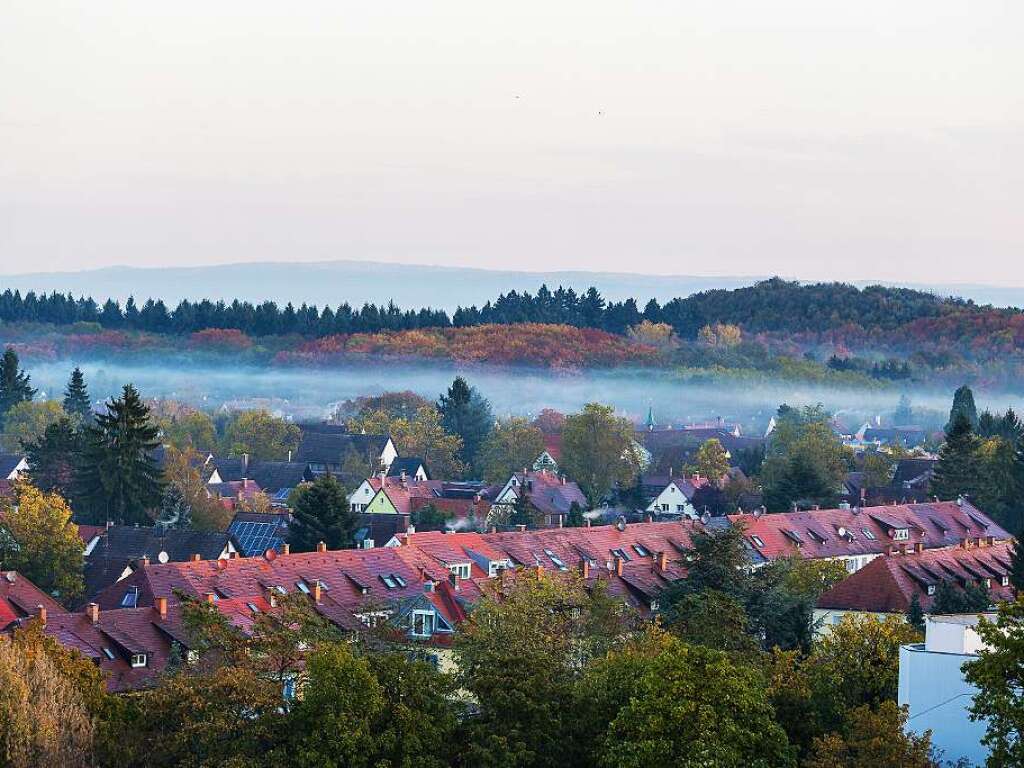 Seepark in Freiburg