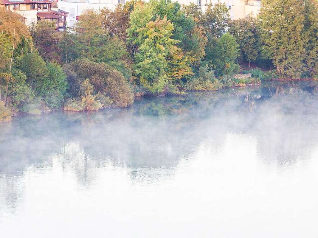 Seepark in Freiburg