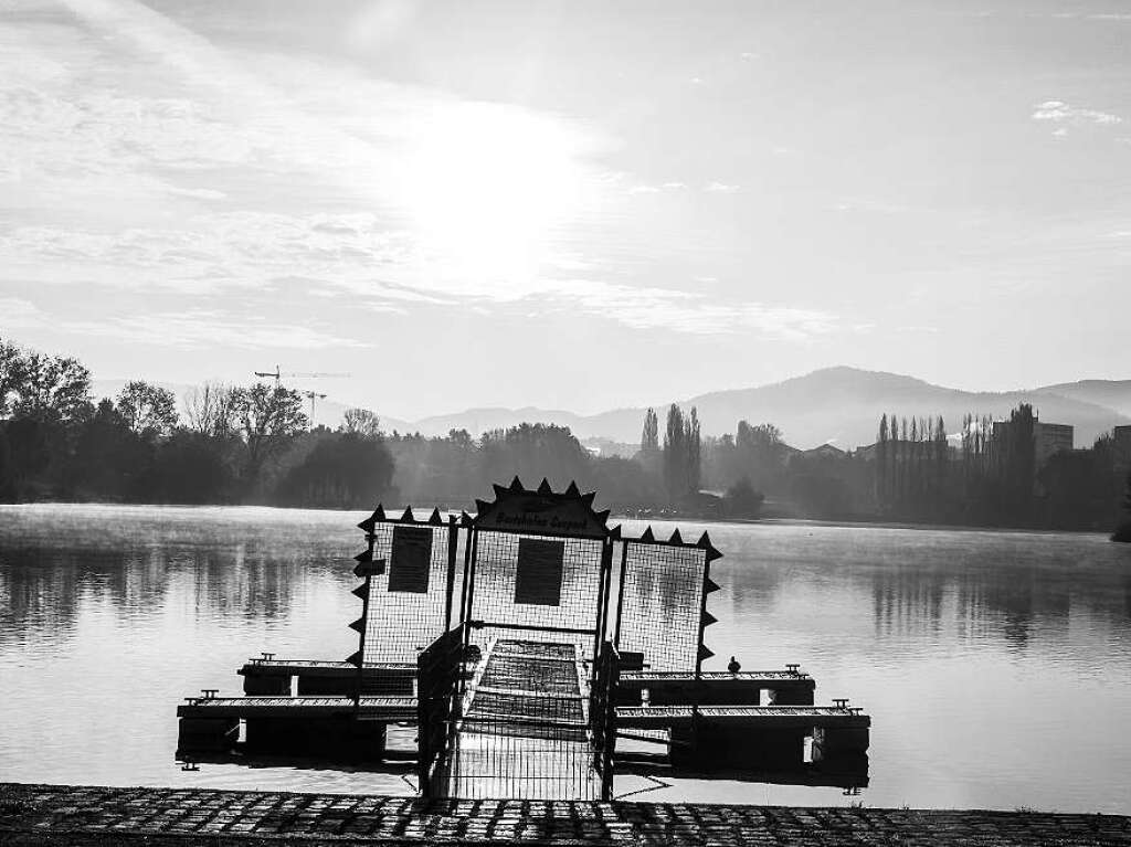 Seepark in Freiburg