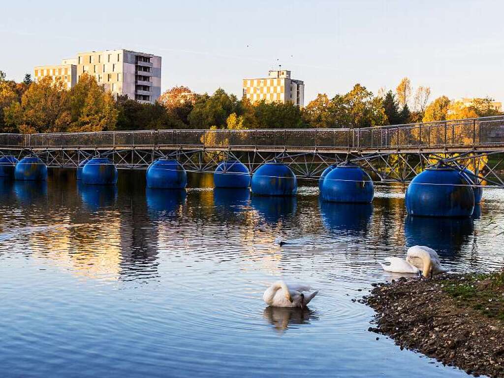 Seepark in Freiburg