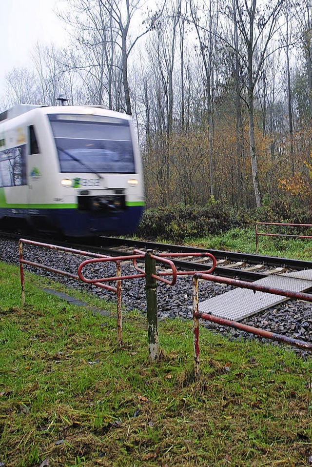 Der bergang des Krittschachen-Waldpfa...eimer Sees doppelt so breit zu bauen.   | Foto: manfred frietsch