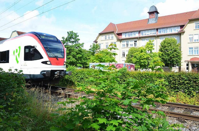 Lebensgefhrlich ist es, die Gleise il...ren. Appelle allein verndern nichts.   | Foto: Andr Hnig