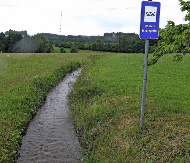 Der knstliche Lauf des Heidewuhrs auf... unvorhergesehenen Kosten fhren kann.  | Foto: Archivfoto: Wolfgang Adam