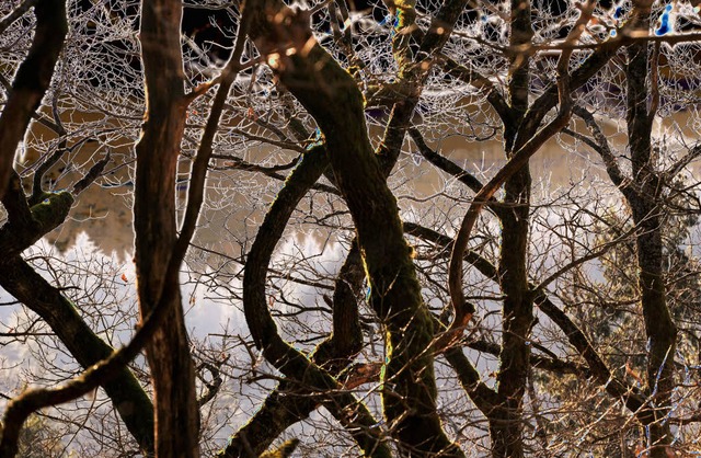 Der Bad Sckinger Mrchenwald: Am Woch...n fr Kinder und auch fr Erwachsene.   | Foto: Karl Braun