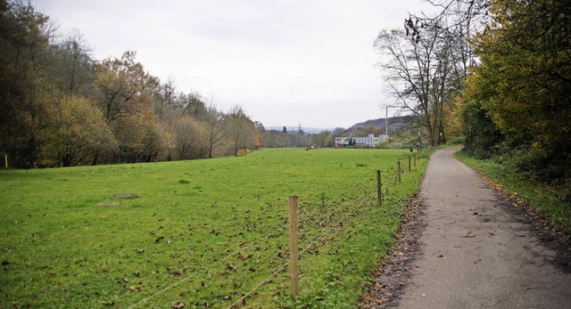 Den Bereich Egerten bei der gleichnami...Standort fr ein Flchtlingsheim vor.   | Foto: Hrvoje Miloslavic