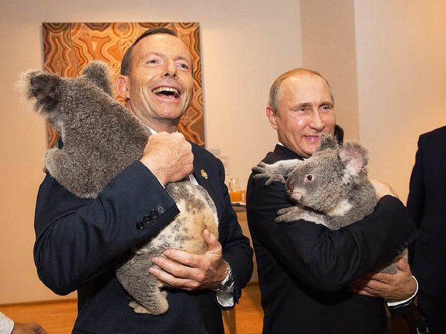 Kuscheln mit Koalas gehrte in Brisban...nd Russlands Prsident Wladimir Putin.  | Foto: dpa