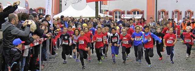 Crosslauf &#8222;Rund um den Michaelsb...gehen die Kinder auf die Laufstrecke.   | Foto: Hassler